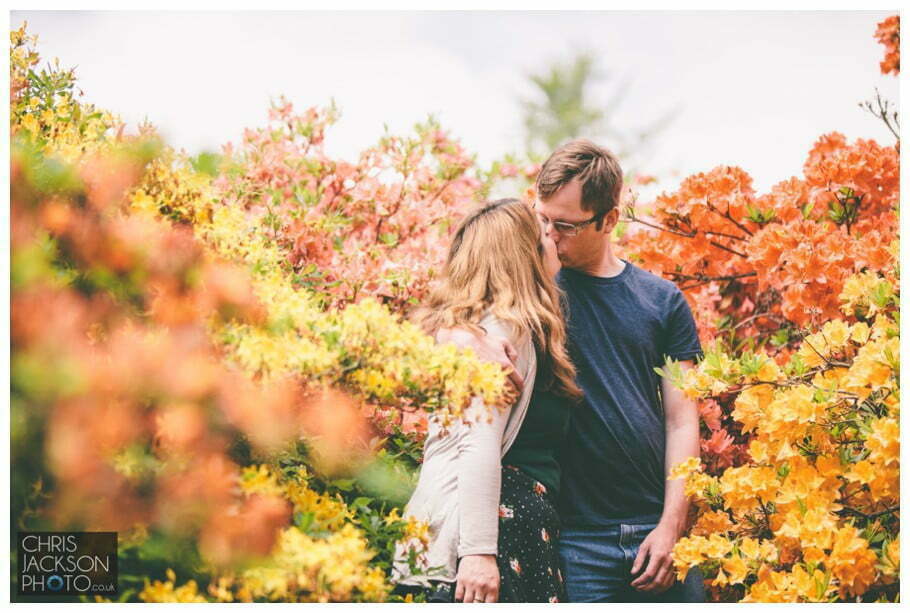 Temple newsam wedding photographer engagement photographer session - Tina & Sam 017 Temple Newsam engagement photographer leeds flowers kiss chris and hazel wedding photography