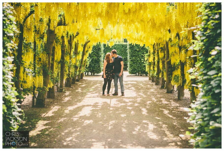 Temple newsam wedding photographer engagement photographer session - Tina & Sam 029 Temple Newsam leeds engagement session photography chris and hazel wedding photography