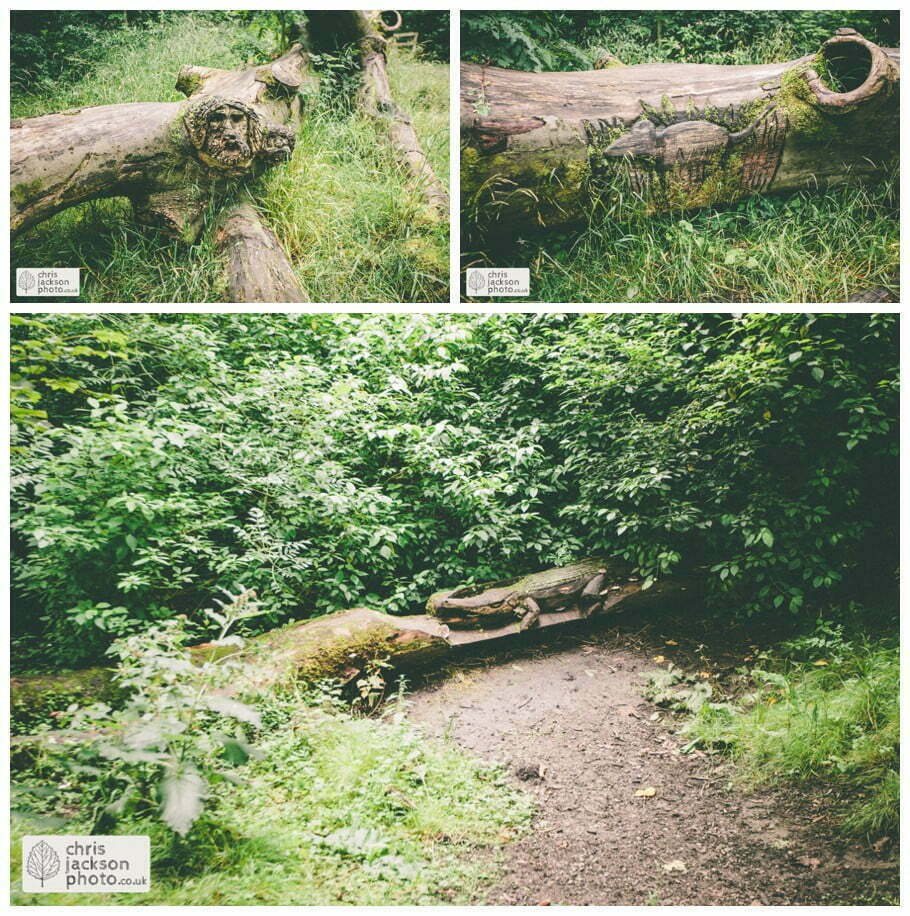 towneley hall woodland carving carvings animals in tree bark chris and hazel wedding photography burnley - steph blight iain duxbury