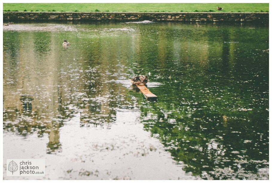 towneley hall engagement session photography pre wedding feeding ducks chris and hazel wedding photography burnley - steph blight iain duxbury