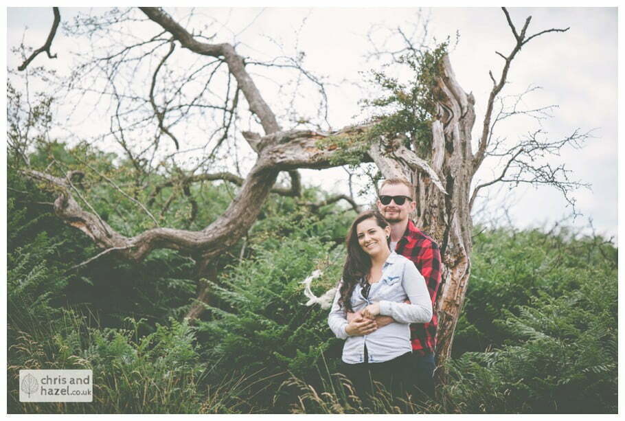 old fallen tree pre wedding engagement Levisham Wedding Photographer Yorkshire Wedding Photography North Yorkshire by Chris and Hazel Wedding Photography Ross Laurelin Matulis