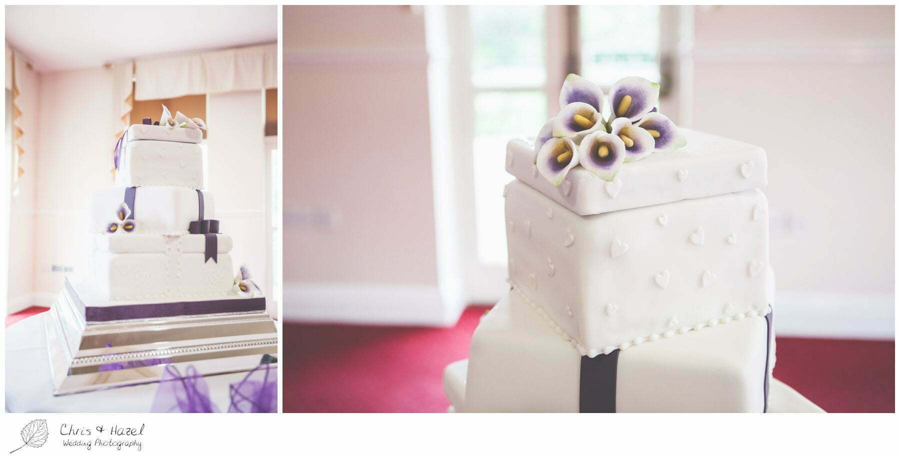 wedding cake, bagden hall wedding venue, documentary wedding photography, denny dale, huddersfield, Wedding Photographer, Bagden Hall, Wedding Photography, Chris and Hazel Wedding Photography, Alex tomenson, Vicky hunt