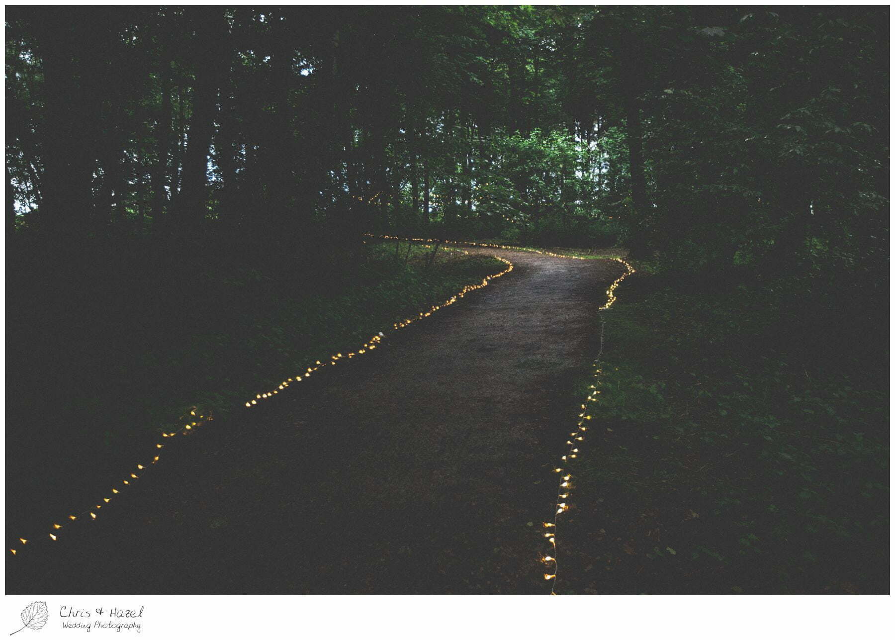 forest lights, outdoor evening wedding, forest wedding reception, woodland wedding evening reception, woodland wedding, eco wedding, wedding, Eccup Wedding Photographer, Lineham Farm, Wedding Photography Leeds, Chris and Hazel Wedding Photography, Richard Wyatt, Laura Kelly
