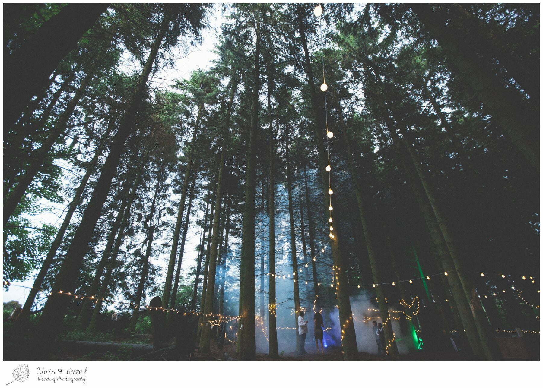 outdoor evening wedding, forest wedding reception, woodland wedding evening reception, woodland wedding, eco wedding, wedding, Eccup Wedding Photographer, Lineham Farm, Wedding Photography Leeds, Chris and Hazel Wedding Photography, Richard Wyatt, Laura Kelly