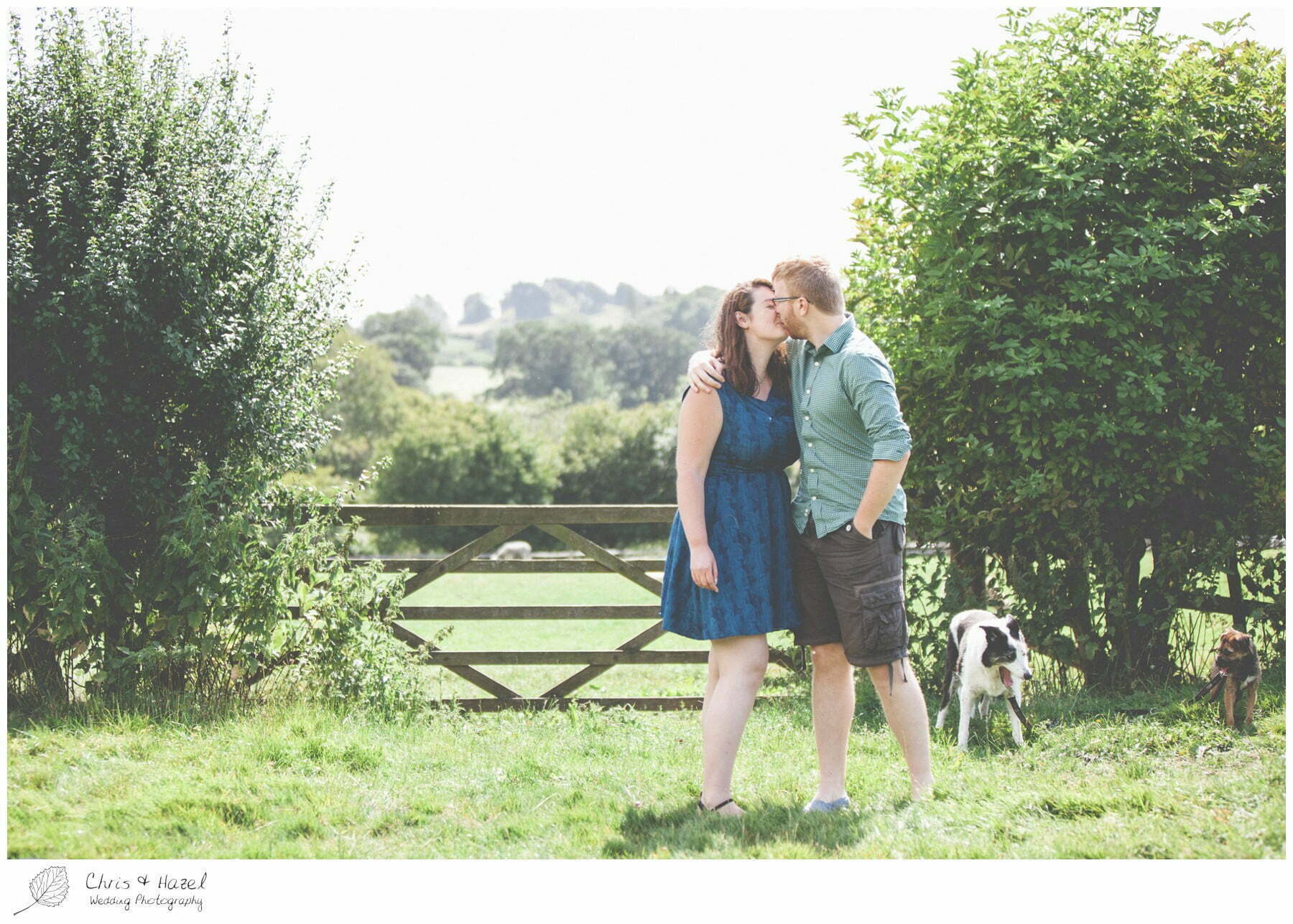 engagement, dogs, Fountains abbey national trust, Rippon, Fountains Abbey, Pre Wedding Photography Yorkshire, Chris and Hazel Wedding Photography, Sam Nicholson, Emily Nunwick,