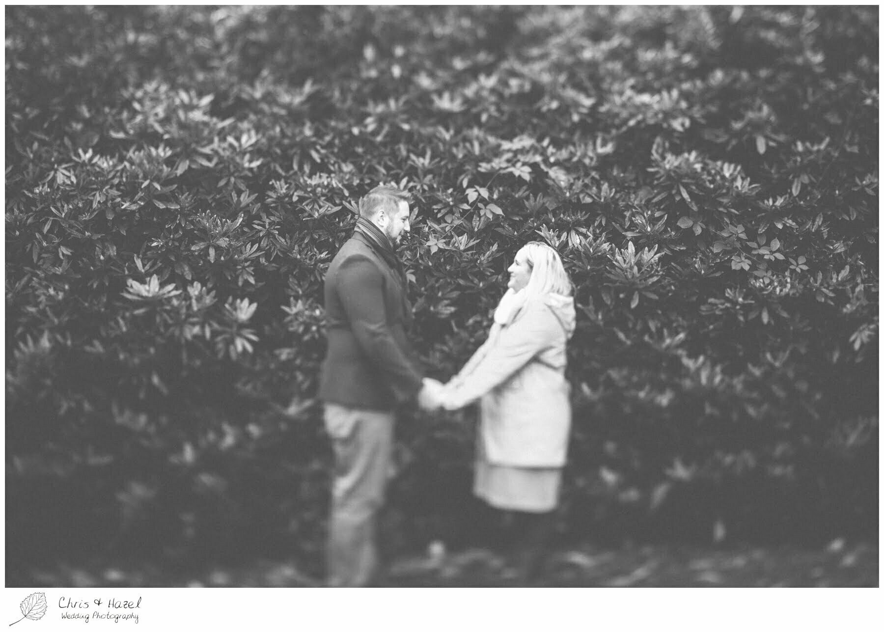 dog walking Yorkshire Sculpture Park engagement photographs leeds pre wedding photography chris and hazel wedding photography