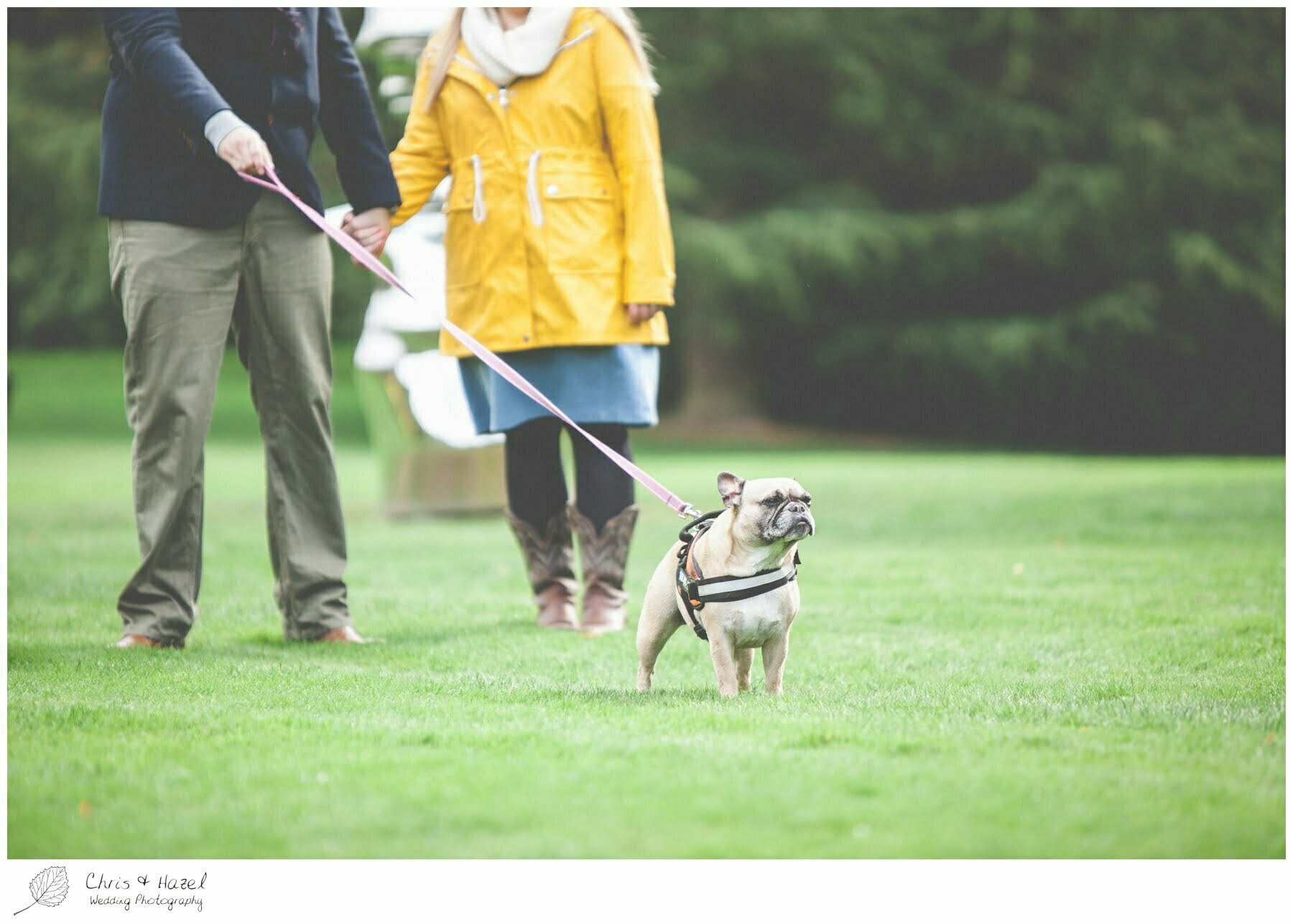 dog walking Yorkshire Sculpture Park engagement photographs leeds pre wedding photography chris and hazel wedding photography